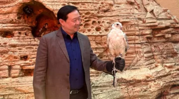 معرض الصقور والصيد السعودي 2025 يستقطب 50 شركة صينية بأحدث الابتكارات